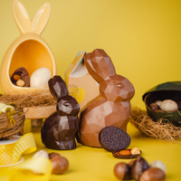 Kaninchenfamilie – Cube Maman & Sohn Schokoladenkaninchen mit kleinen gefüllten Eiern – NUR LOKALE ABHOLUNG