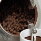Noisettes enrobées de chocolat au lait