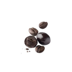 Coated coffee beans