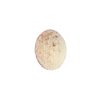 #Pasen #EasterChocolates #EasterEggs #Crafts #Chocolaterie #Delicatessen #Pralines #Hazelnoten #Amandelen #Peanuts #Nougat #Puffed Rice